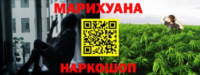 дмт Шелехов