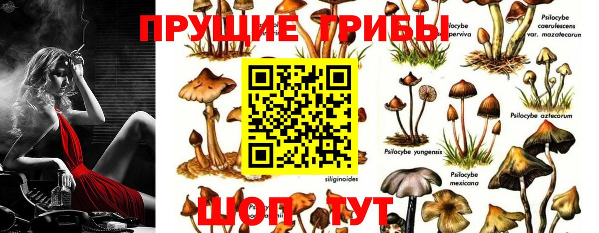 Коркино  Галлюциногенные грибы MAGIC MUSHROOMS  Вход с VPN 